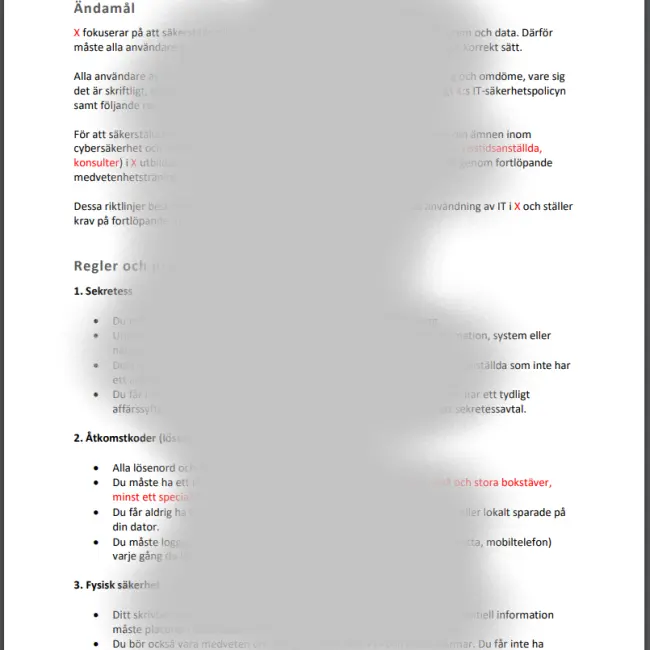 Mall exempel Riktlinjer för IT-användare