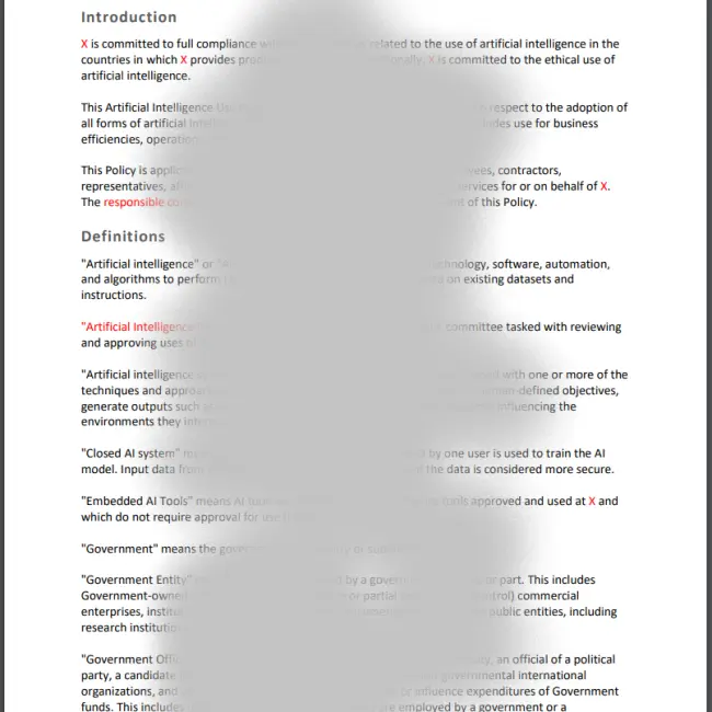 Template Example AI Use Policy