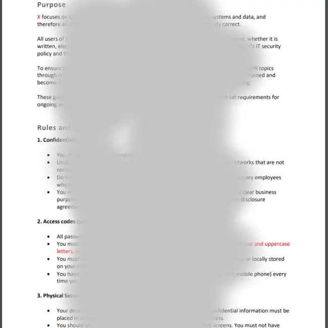 Template Example IT-Usage Guidelines